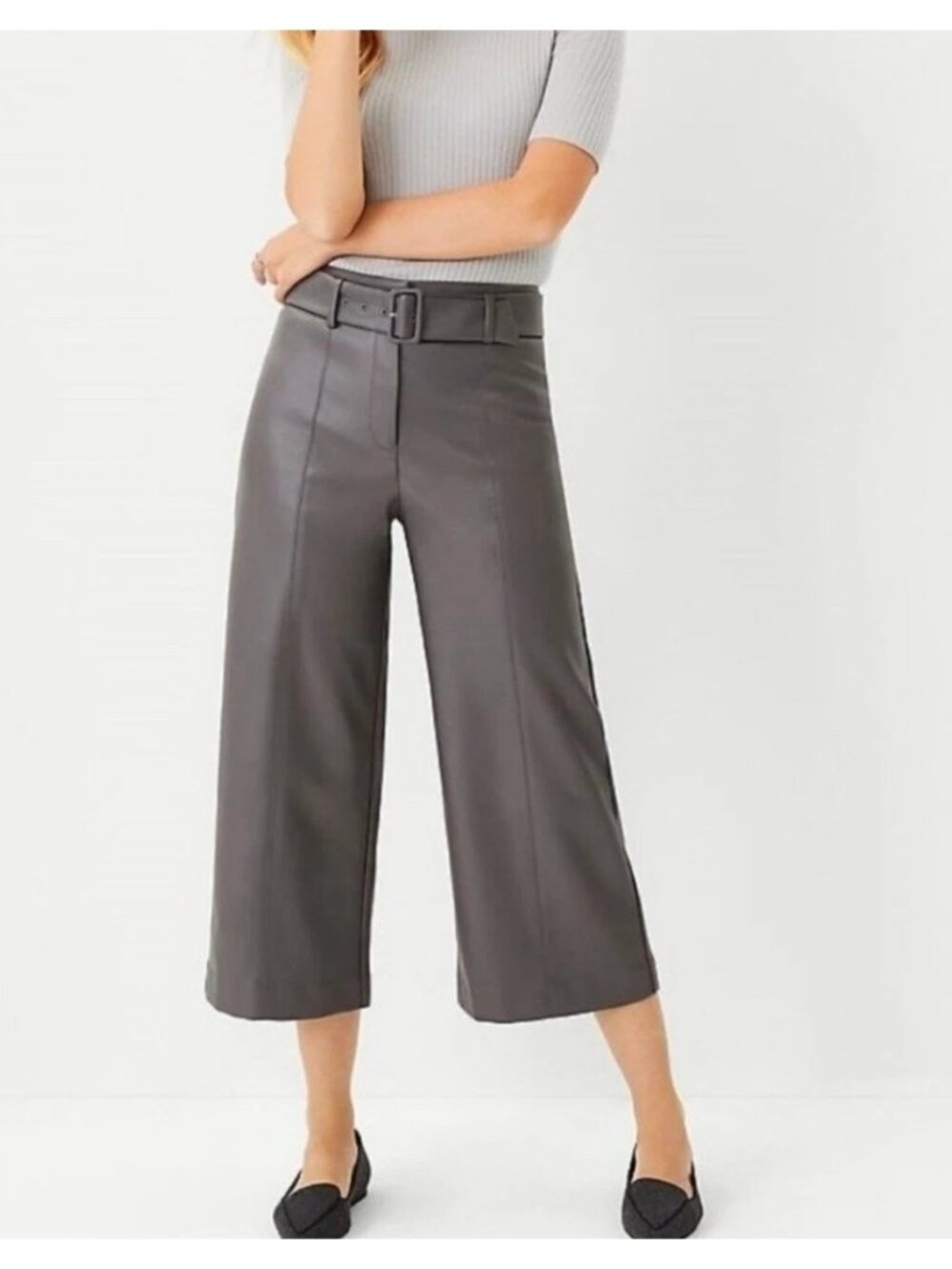 Ann Taylor Faux Leather Wide Leg Crop Pants Taupe Vegan Leather Petite 6 NWT